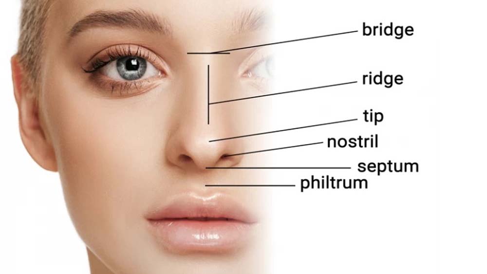 Rhinoplasty in Iran | Iran Medical Guide